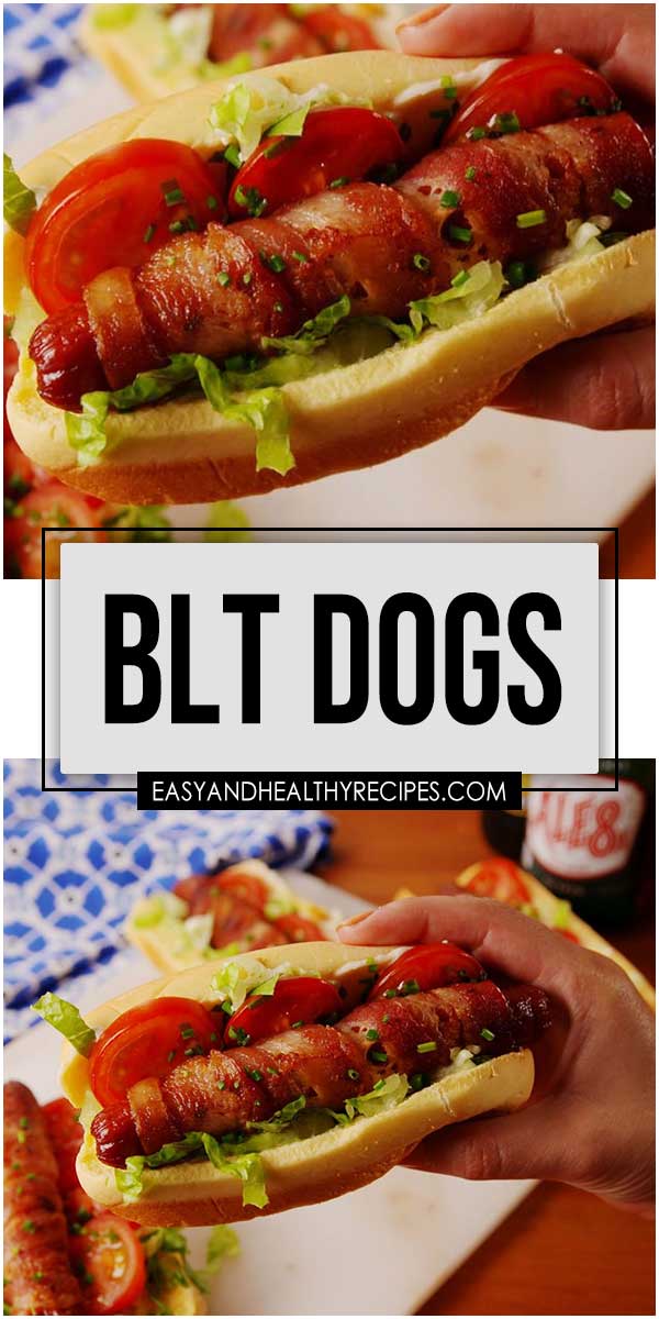 BLT Dogs – HealthyCareSite